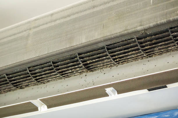 Best Air Duct Cleaning Company Near Me  in Greenfield, CA